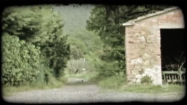Strzał Żwir Drogi Przechodzącej Garażu Włochy Starodawny Stylizowane Klip Wideo — Wideo stockowe