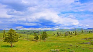 Hızlandırılmış bir kadeh Wyoming açık bir alan. Bulutlar hızlı ve orada ağaçlar etrafında alanı dağılmış taşınıyor.