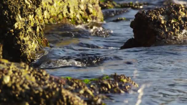 Static Shot Dark Water Washing Extremely Rough Rocks — Stock Video