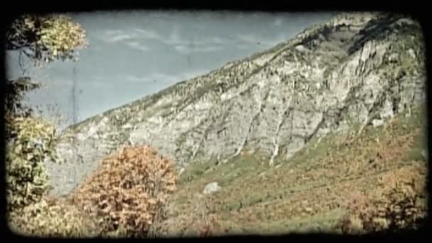 Tilt Mountainside Valley Covered Colorful Autumn Trees Rocky Mountains Vintage — Stock Video