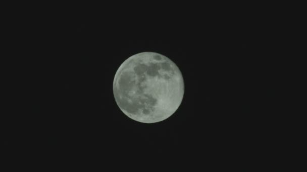 Still Shot Full Moon Night Cool Tone — Stock Video