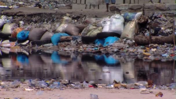 Medium Wide Shot Garbage River Africa — Stock Video