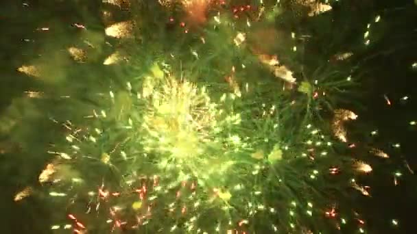 Schot Van Vuurwerk Nachtelijke Hemel Exploderende — Stockvideo