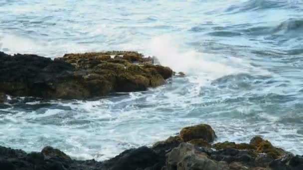 Küçük Dalgalar Deniz Köpüğü Yayılan Yukarıda Hawaii Adası Nda Sıçramasına — Stok video