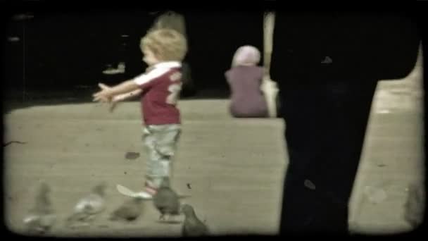 Een Kleine Jongen Jaagt Duiven Een Italiaanse Plaza Vintage Gestileerde — Stockvideo