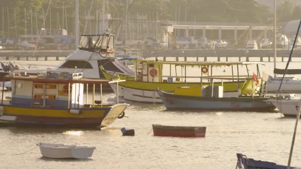 Guanabara Bay Rio Janeiro June 2013 Pan Green White Boat — Stock Video
