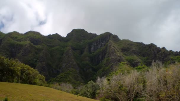 Vista Guardando Montagne Hawaiane Aumento Coperte Alberi Verdi Tropicali Cespugli — Video Stock
