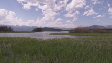 Bulutlu mavi gökyüzü Yellowstone Milli Parkı'nda ile çimenli akışının geniş çekim.