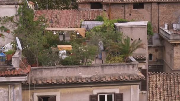 Shot Man Tending Garden Rooftop Rome Italy — Stock Video
