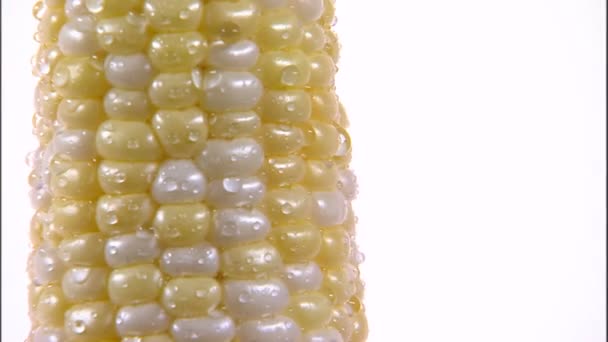 上一个白色的屏幕旋转玉米穗轴的镜头放大 — 图库视频影像
