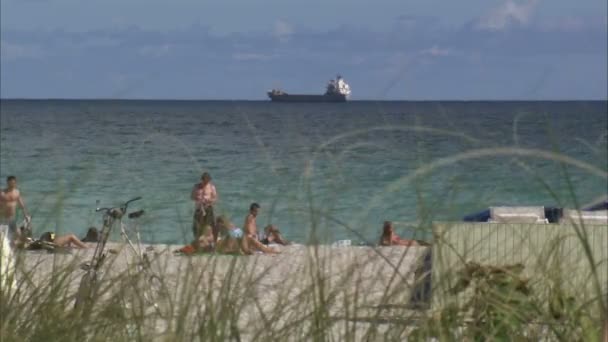 Shot Beach Miami People Laying Out Cargo Ship Background — Stock Video