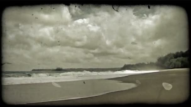 Tranquilla Ancora Isolata Spiaggia Hawaiana Con Morbide Onde Che Arrivano — Video Stock