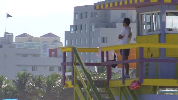 Tiro Homem Olhar Para Praia Uma Torre Salva Vidas Gaivotas — Vídeo de Stock