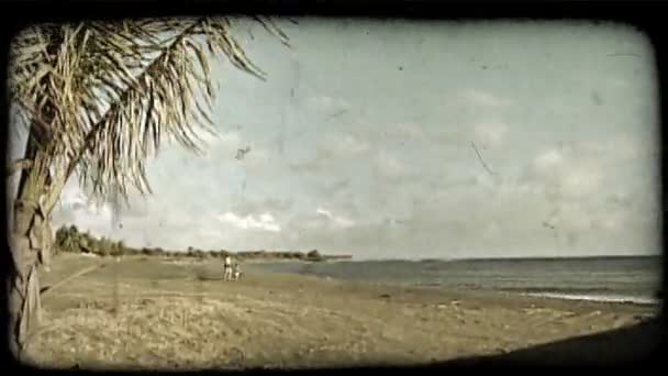 安静的海滩场景 包括前景中的棕榈树和沿着岛屿海滩海岸线行走的 复古风格化视频剪辑 — 图库视频影像
