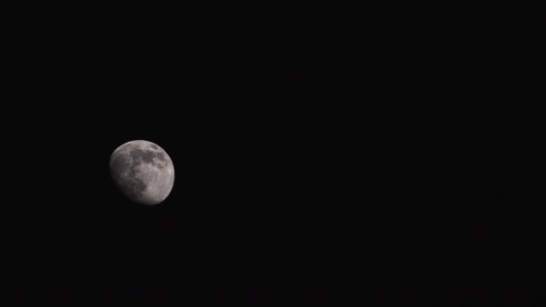 Una Luna Crescente Gibbous Pende Ancora Cielo Nero Basso Nella — Video Stock
