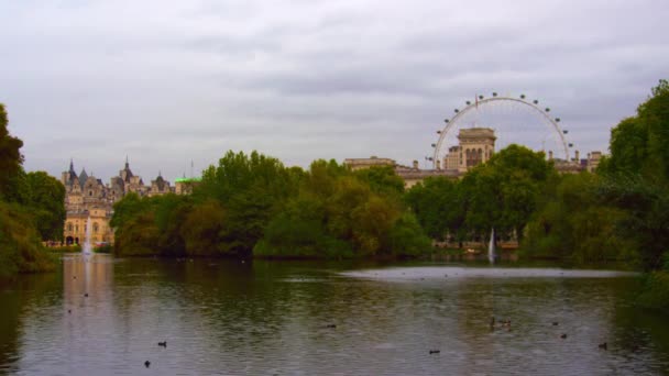 Saint James Park Londra Güzel Bir Gölet Sabit Çekim Gölette — Stok video