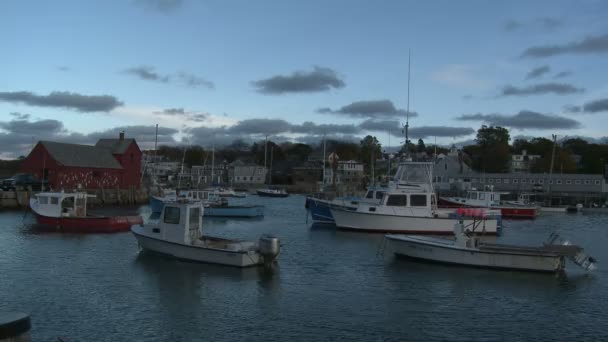 Barche Rockport Harbor Intorno Motivo Numero Una Famosa Capanna Pesca — Video Stock