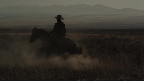 Lento Tiro Estático Movimento Cowboy Montando Cavalo Que Está Transformando — Vídeo de Stock