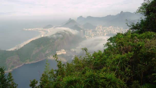 拍摄的海岸线从巴西里约热内卢的一座山 — 图库视频影像