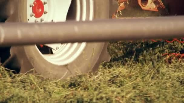 車輪灌漑システムの後ろから見た干し草のベーラーのミディアムショット カメラは干し草のベーラーの動きに従って右から左に移動します — ストック動画