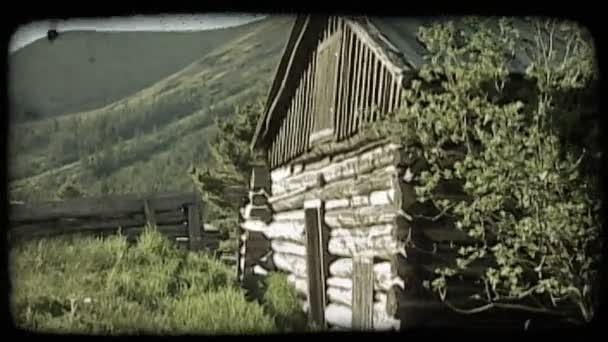 Panera Desde Lado Soleado Cabaña Abandonada Troncos Viejos Hasta Lado — Vídeo de stock