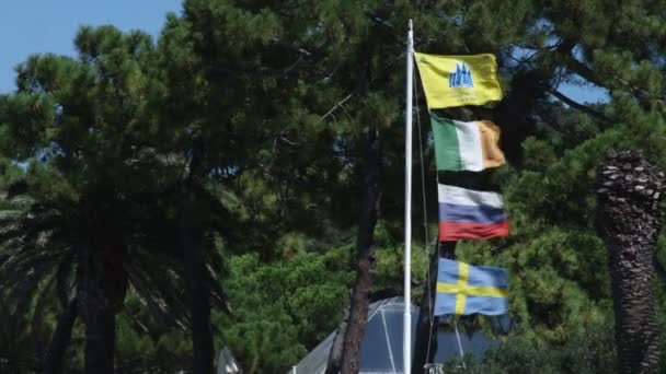Szeroki Strzał Polaka Bandera Flagami Wiejący Wiatr — Wideo stockowe