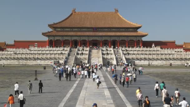 중국에서 도시를 관광객 — 비디오