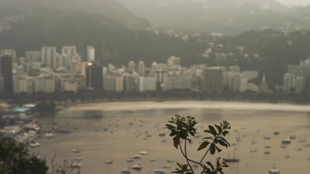 Indah Pandangan Mengambang Atas Corcovado Gunung Rio Janeiro Dalam Pandangan — Stok Video