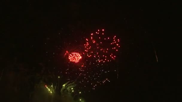 Schot Van Vuurwerk Nachtelijke Hemel Exploderende — Stockvideo