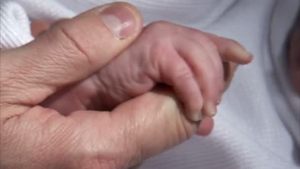 Close Van Een Baby Van Een Volwassene Hand Grijpen Een — Stockvideo