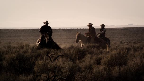 Disparo Cámara Lenta Vaqueros Medio Del Cepillo Vaquero Cabalga Mientras — Vídeos de Stock