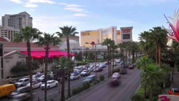 Statyczne Widok Timelapse Prędkości Zatrzymywania Uruchamiania Ruchu Las Vegas Boulevard — Wideo stockowe