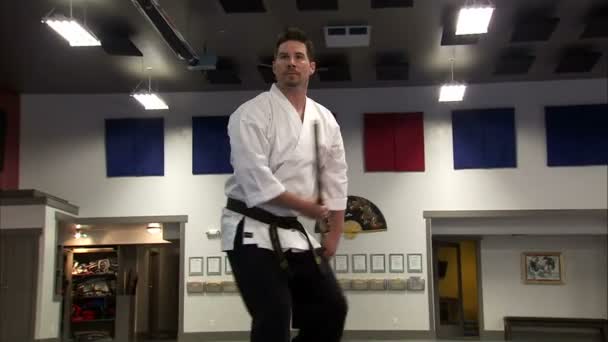 Een Lage Hoek Opzoeken Voor Een Martial Arts Instructeur Met — Stockvideo