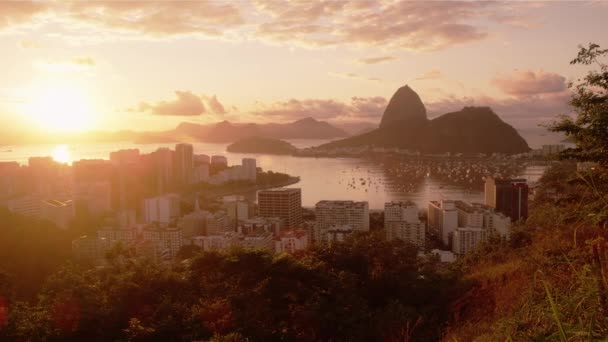 Παρακολούθηση Πλάνο Του Ρίο Sugarloaf Ηλιοφάνεια Και Τον Κόλπο Του — Αρχείο Βίντεο
