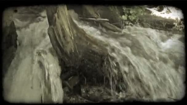 特写的水 因为它很快东奔西走破碎的日志在与植物 岩石和棍棒在背景中的一条小河边的小瀑布 复古风格化视频剪辑 — 图库视频影像