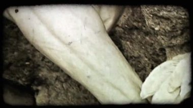 Viyana'da bir heykel kadeh yukarıya doğru eğin. Vintage stilize video klip.