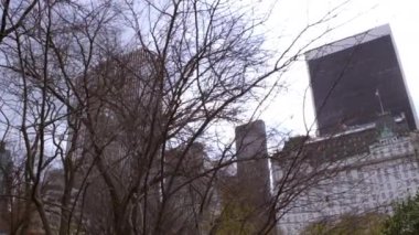 New York'taki uzak binaları kısmen kaplayan ağaçların dolly çekimi. Dolly çekim nedeniyle, kameraya en yakın ağaçlar hızlı hareket ediyor gibi görünüyor, arka binalar hareketsiz kalırken.