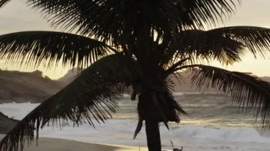 Rio de Janeiro, Brezilya'da Ipanema plaj dalgaları ve tepeler üzerinde yükselen güneşin Panning çekim. Bir palmiye ağacı çekim foregrounds.