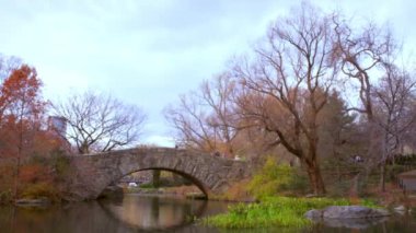 Central Park, New York'ta bir köprünün üzerinden yürüyen insanların yavaşlayan kaydırma atış.