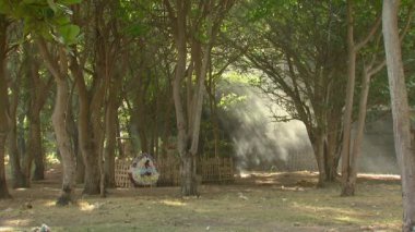 Ağaçların arasından gelen orman güneşte evin orta geniş vurdu