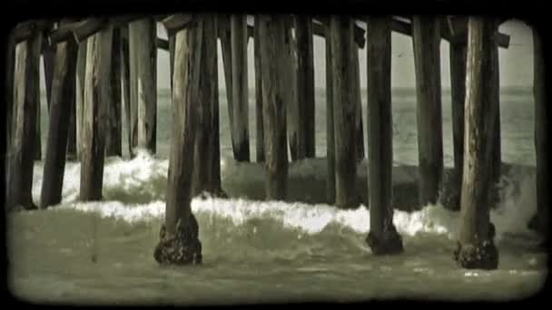 Vlny Přicházejí Směrem Pláži Narazit Mechem Porosty Které Drží Vyvýšené — Stock video
