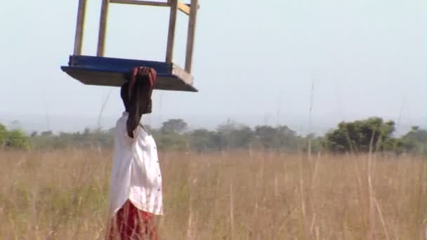 アフリカ ケニア 2010 ミディアム ショットの頭の上にテーブルを運ぶ女性のパン — ストック動画