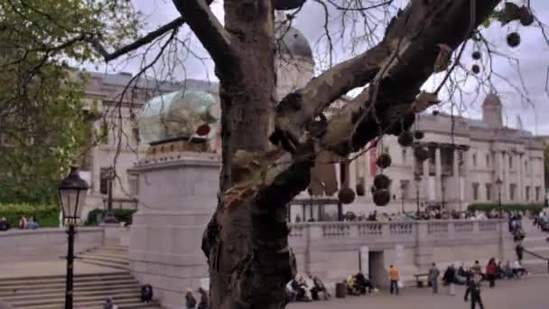 Vista Panorâmica Trafalgar Square Mostra Pessoas Não Identificadas Leões Bronze — Vídeo de Stock