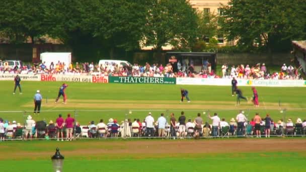 Bowler Bowlen Een Cricket Match — Stockvideo