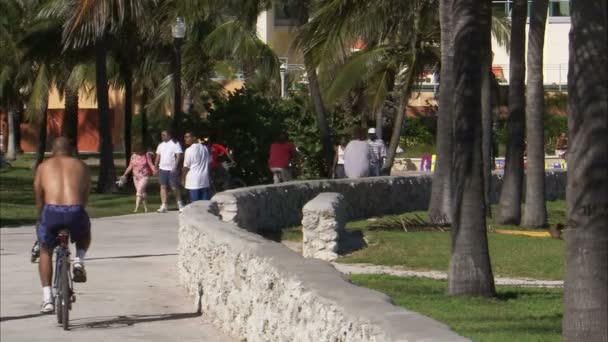 Záběr Cestě Pro Pěší Miami Lidé Jsou Pěší Kole Kolečkových — Stock video