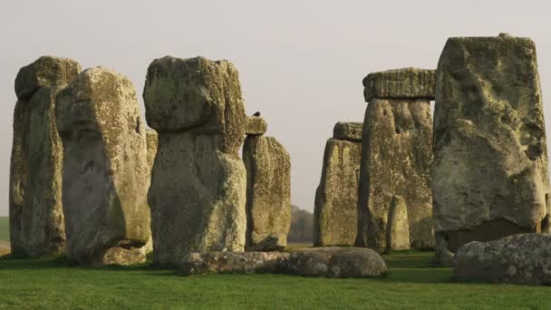 Камни Стоунхенджа Англии — стоковое видео