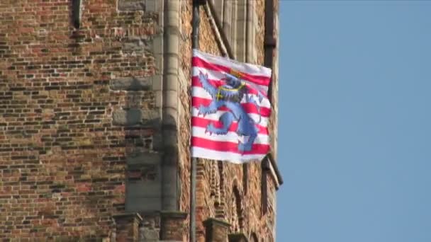 Tiro Bandeira Bruges Bélgica Com Leão Azul Desenfreado Com Uma — Vídeo de Stock