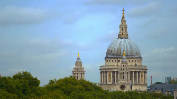 Stacjonarne Strzał Wieże Koronach Drzew London Paul Cathedral — Wideo stockowe