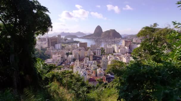 跟踪拍摄的多彩里约热内卢 与定义 由巴西的天空和热带树木 — 图库视频影像