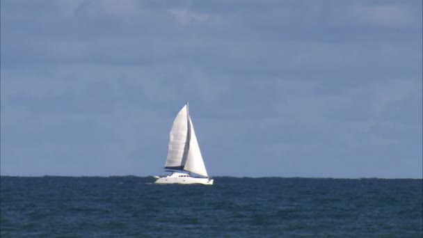 Uno Scatto Una Barca Vela Che Naviga Sinistra Dello Schermo — Video Stock